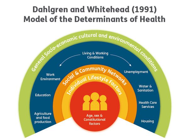 Dahlgren and Whitehead (1991) Model of the Determinants of Health Diagram